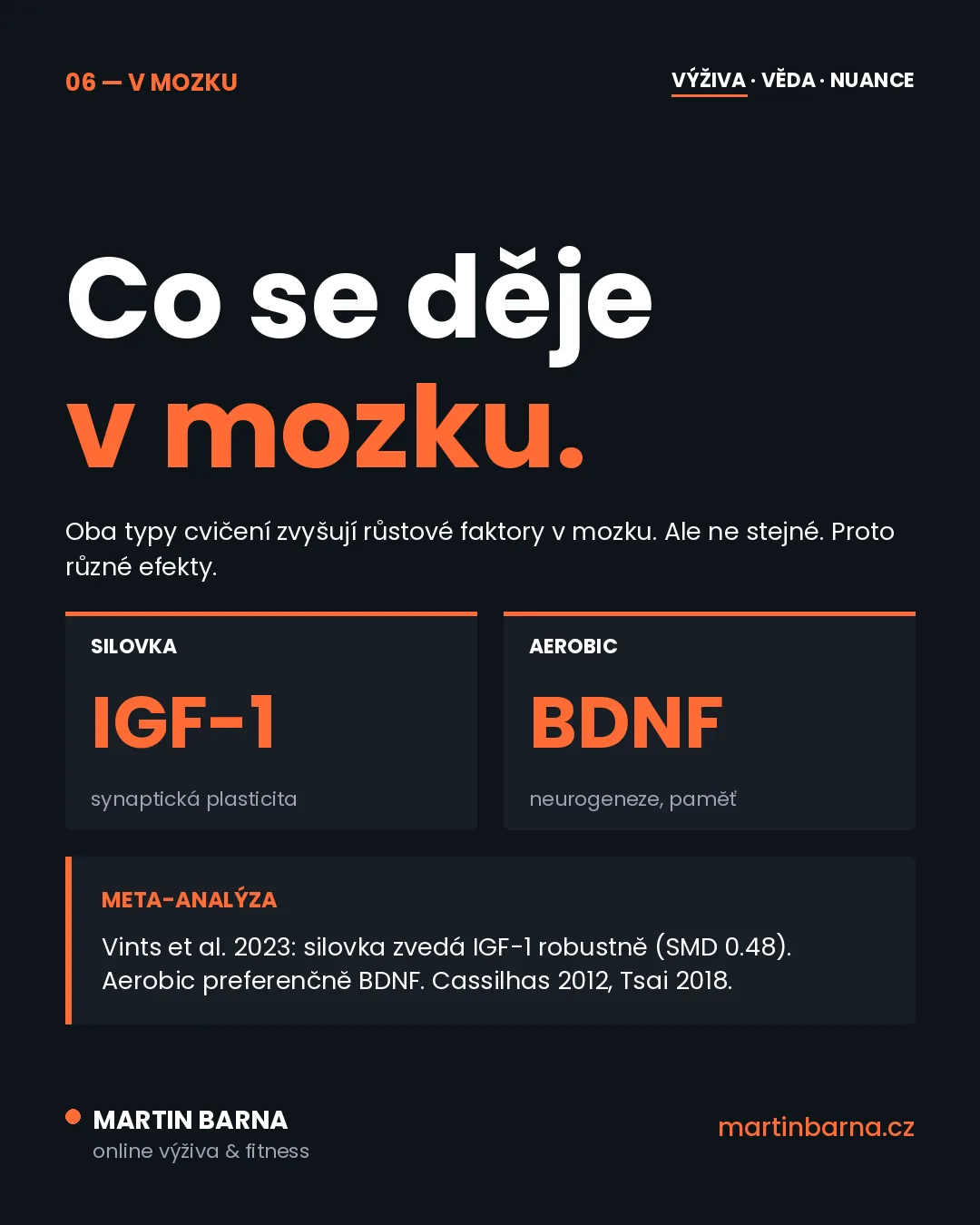 Nejlepší cvičení pro mozek po šedesátce — nuance a kontext