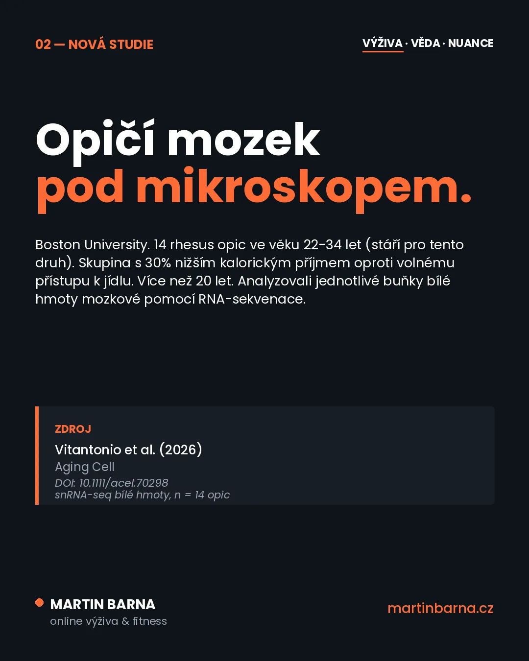 Hubnutí a zdraví mozku: co ukazují data — jádro problému