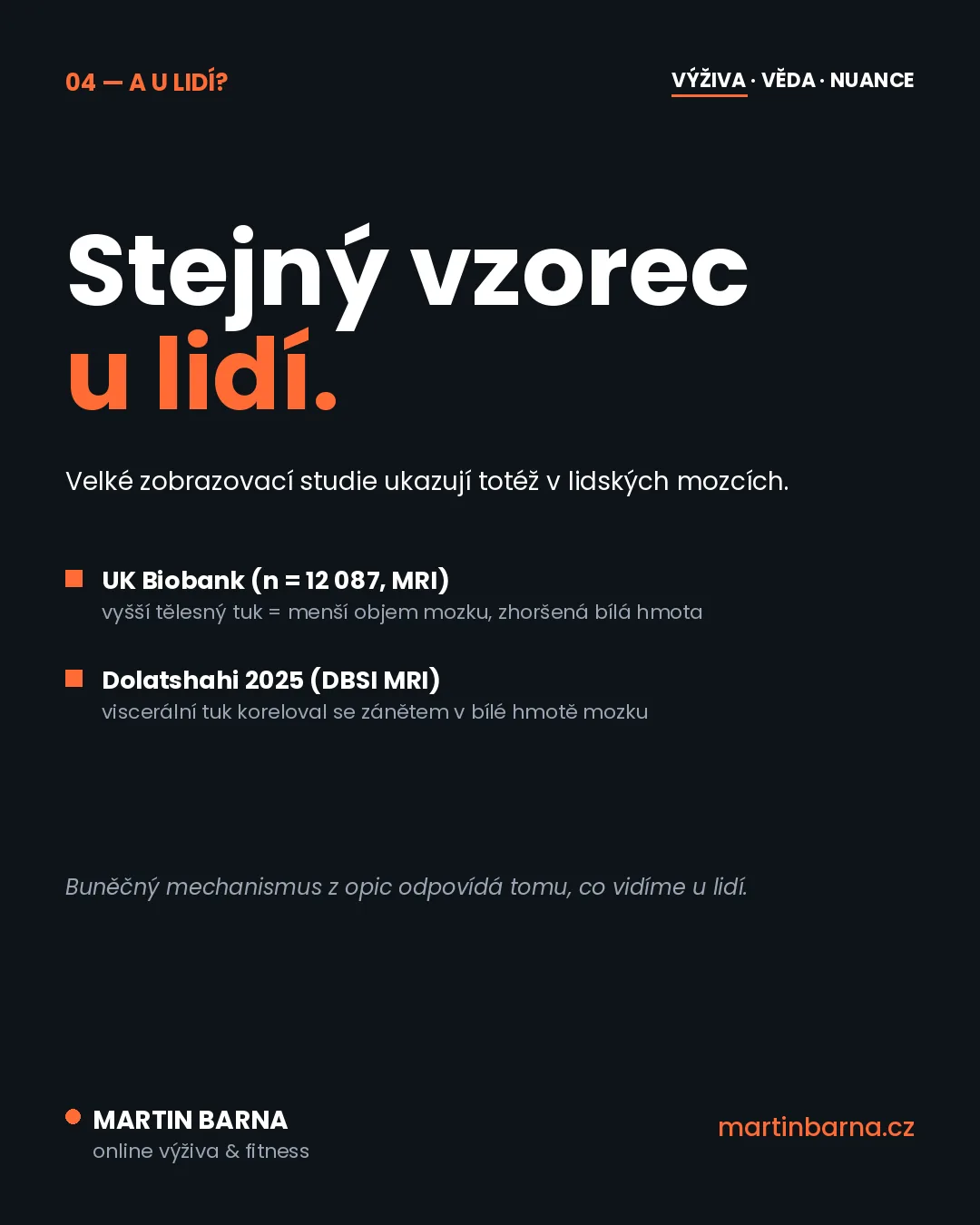 Hubnutí a zdraví mozku: co ukazují data — mechanismus