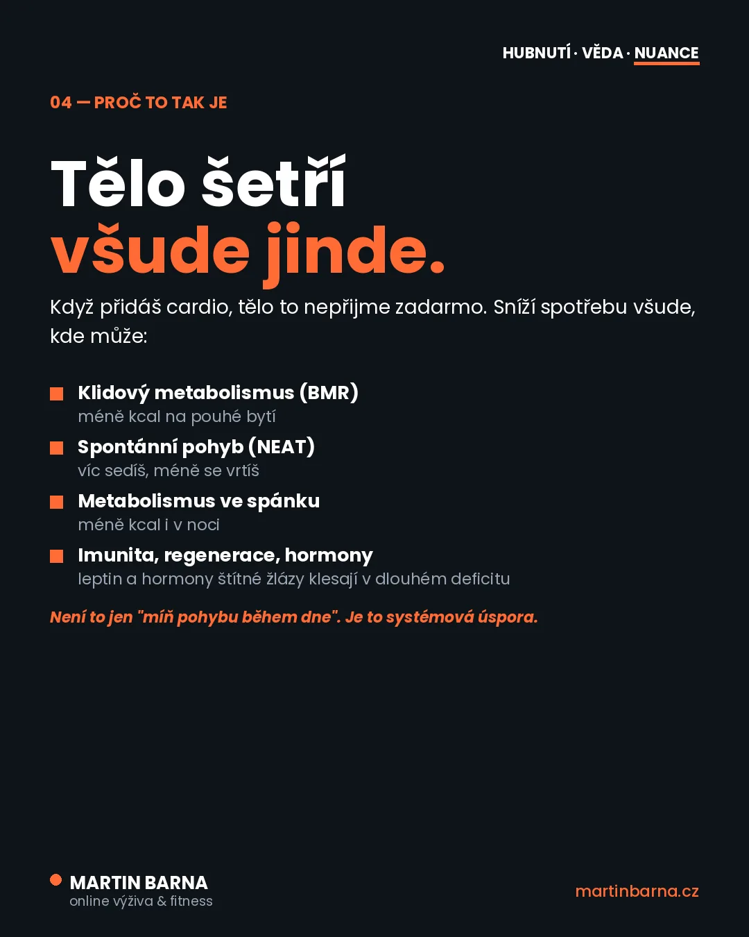 Kardio spaluje míň, než si myslíš — mechanismus