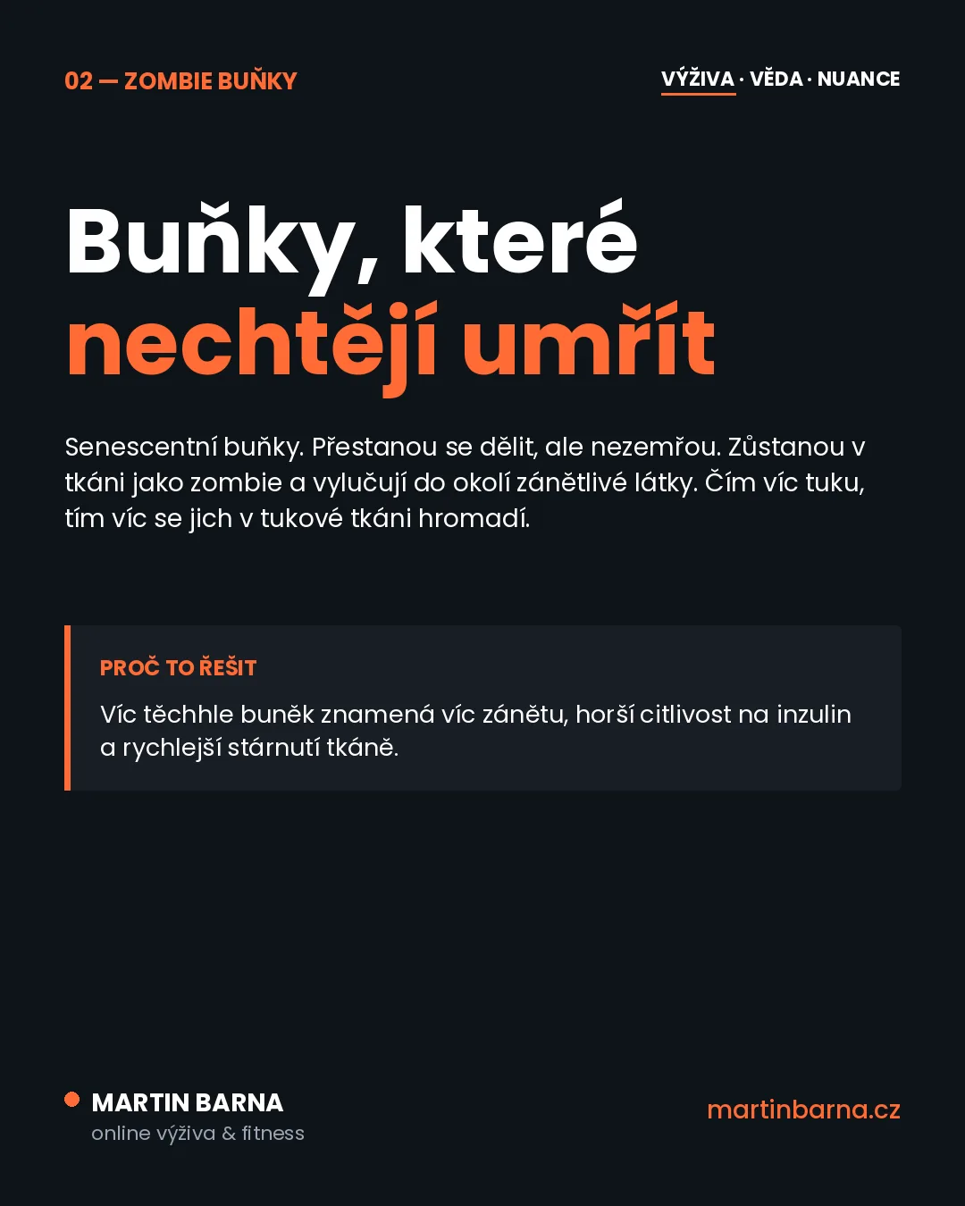 Hubnutí umí omladit tělo až na úrovni buněk — jádro problému